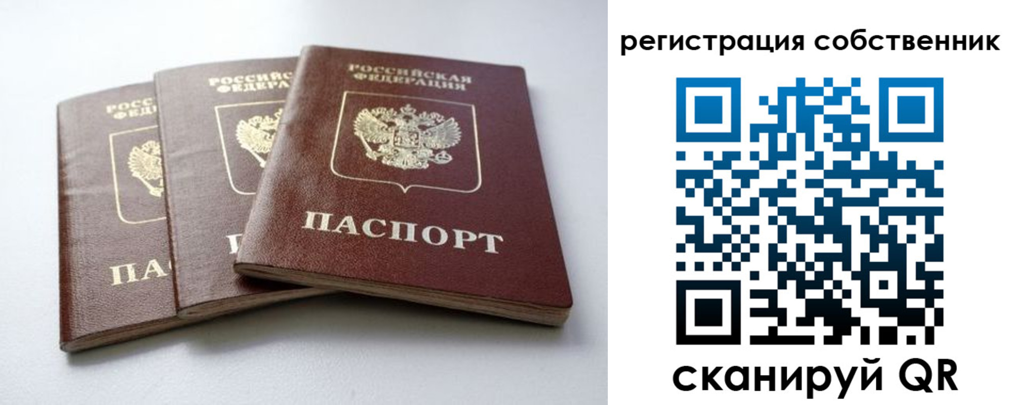 прописка для школы в Протвино